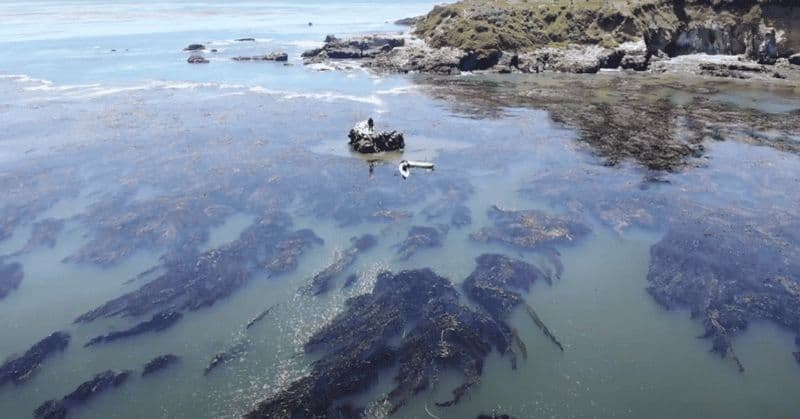 Marina Way : aventure en kayak avec la star de télévision Gary Golding