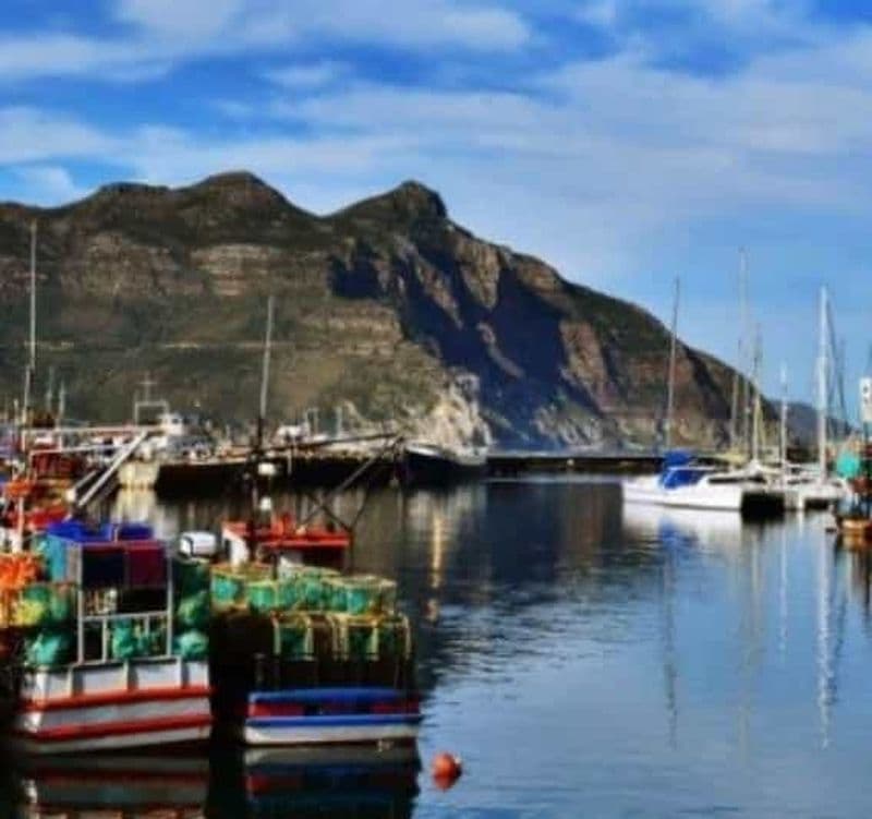 Billet Le Cap : tour panoramique de Houtbay, île aux phoques, monde des oiseaux.