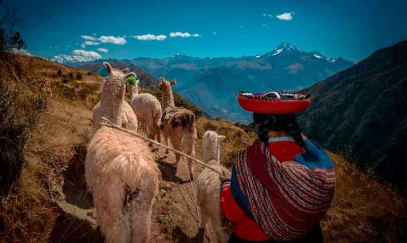 De Cusco || Excursion à la cure d'argile et aux lamas Excursion privée ||