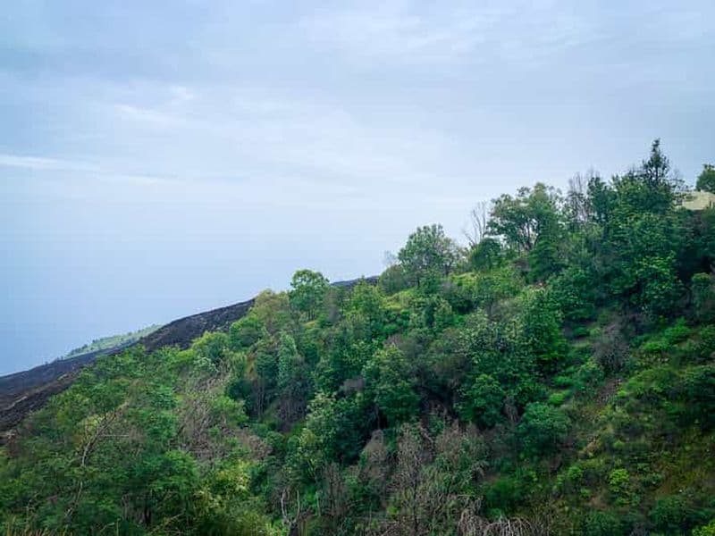 Billet Sao Filipe: excursion d'une journée à la plantation de café et aux piscines naturelles