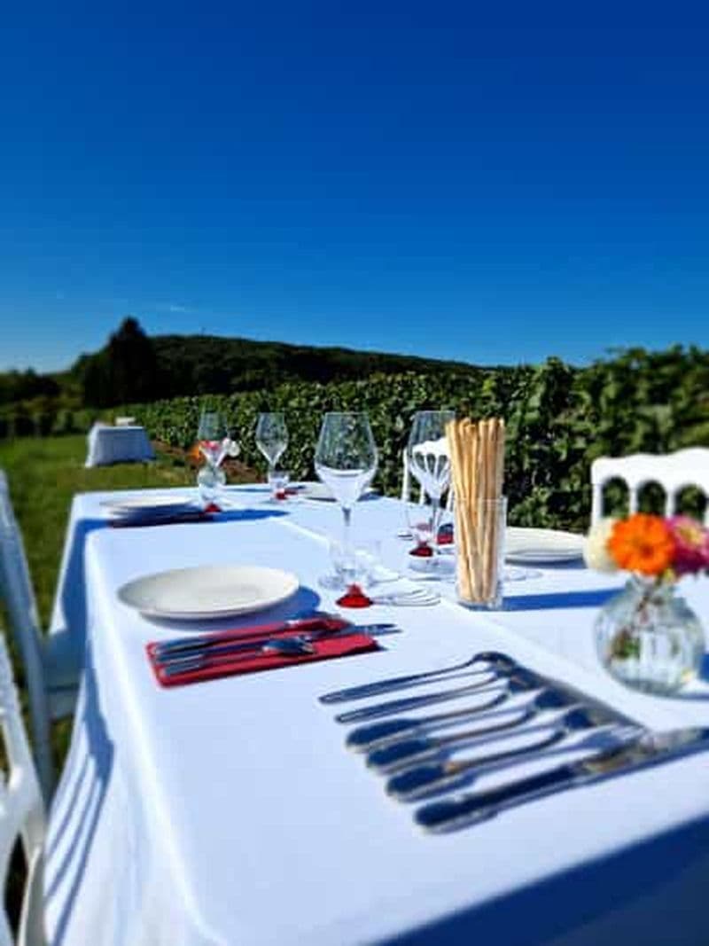 Billet Pique-nique dans les vignobles de Champagne (avec transport)