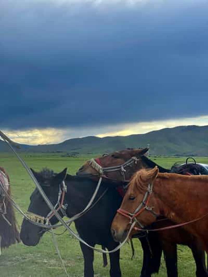 Billet Oulan-Bator : trek à cheval de 8 jours dans la vallée de l'Orkhon et circuit culturel