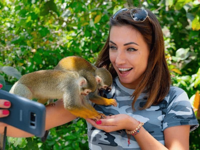 Punta Cana : demi-journée de safari au pays des singes