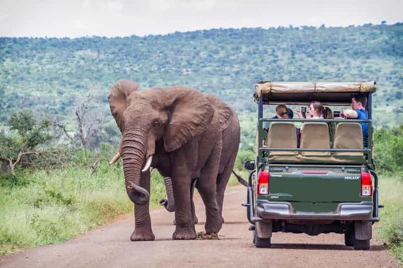 Billet Depuis Johannesburg : Safari dans le Pilanesberg