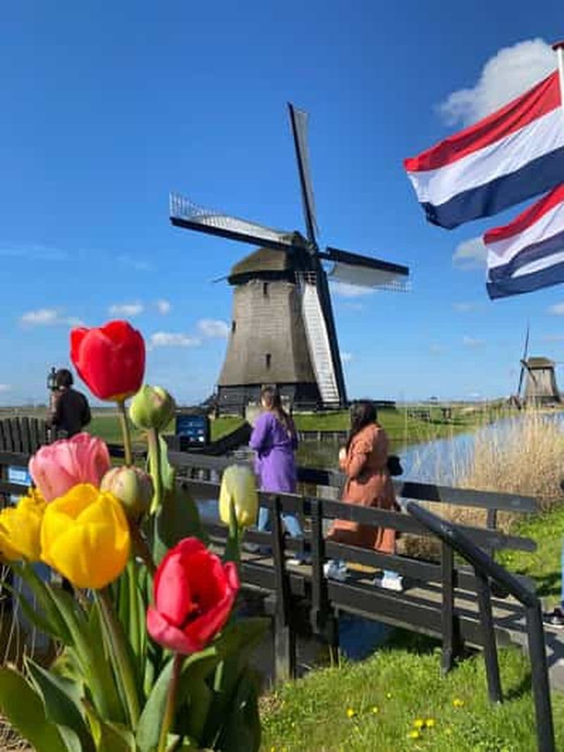 Billet Amsterdam : visite matinale, moulin à vent et dégustation de fromages en petit groupe