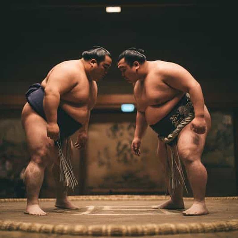 Billet Tokyo : expérience de spectacle de sumo en direct et photo à Shinjuku