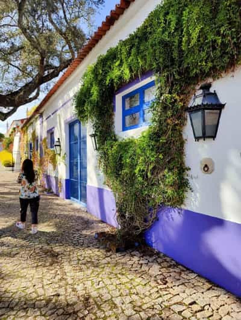 Fabrique de bouchons, dégustation de vin et visite d'Évora