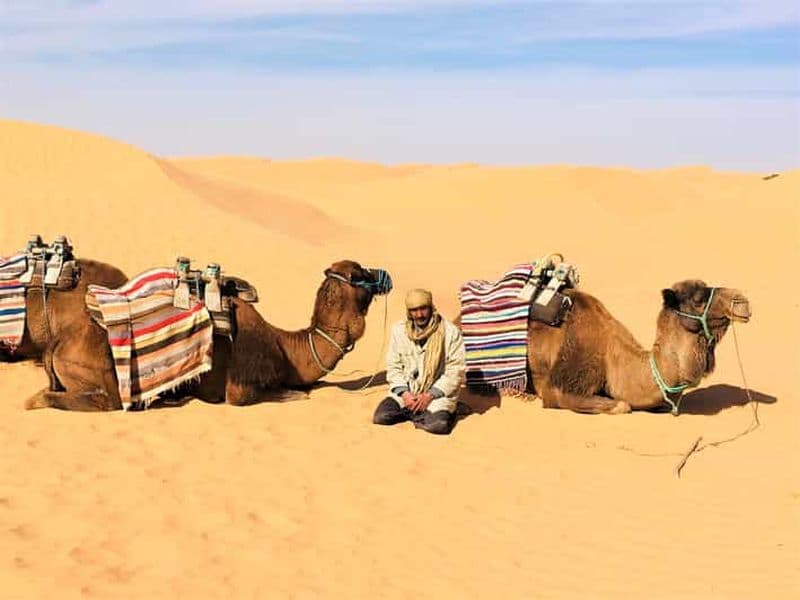 Billet Au départ de Djerba : Visite d'une jounée à Ksar Ghilane, Sahara et Oasis