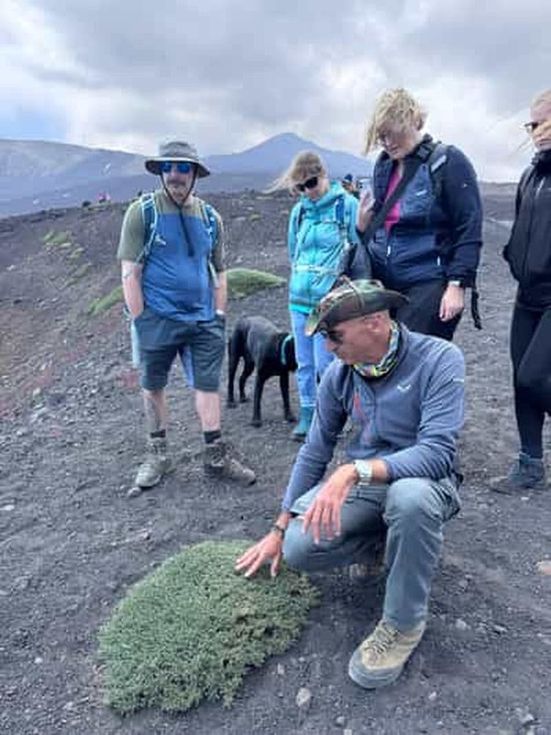Billet Catane : Circuit de randonnée Etna 2000 m et Gorges de l'Alcantara, prise en charge