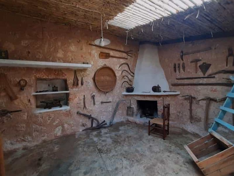 Billet Valle de Sóller, Fornalutx : Visite d'une oliveraie, dégustation d'huile et de produits locaux