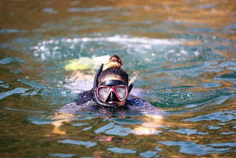 Billet Mascate : expérience d'observation de dauphins et de baleines et plongée en apnée
