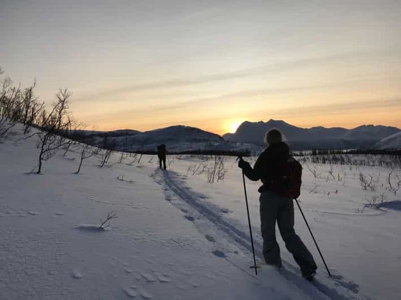 Billet Tromsø : Randonnée nordique à ski en pleine nature pour les débutants