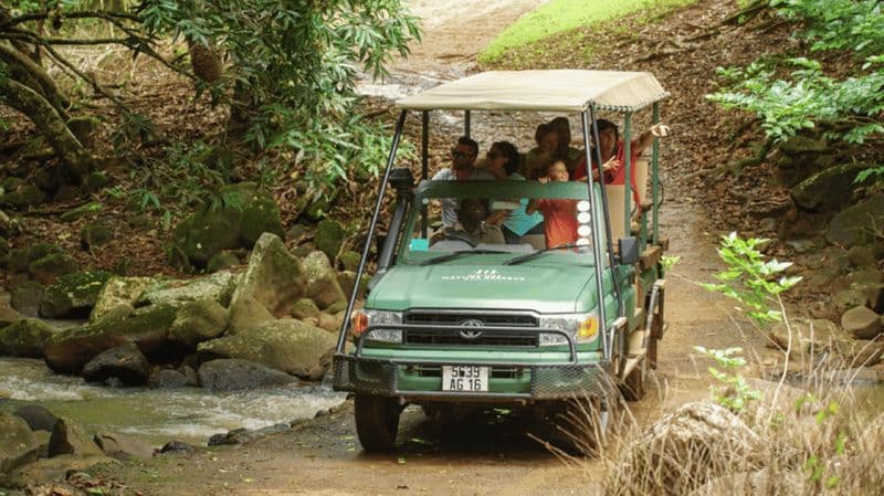 Ile Maurice : Aventure safari 4x4 dans la réserve naturelle de Bel Ombre