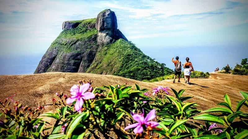 Billet Rio : randonnée en petit groupe à Pedra Bonita, Parc national de Tijuca