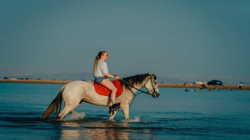 Essaouira : balade en quad (enfants et transfert gratuit)