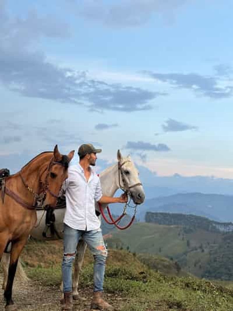 Billet Medellín : Promenade à cheval dans les montagnes de la ville.