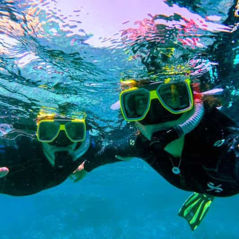 Billet Expérience de plongée guidée privée - La forêt marine africaine