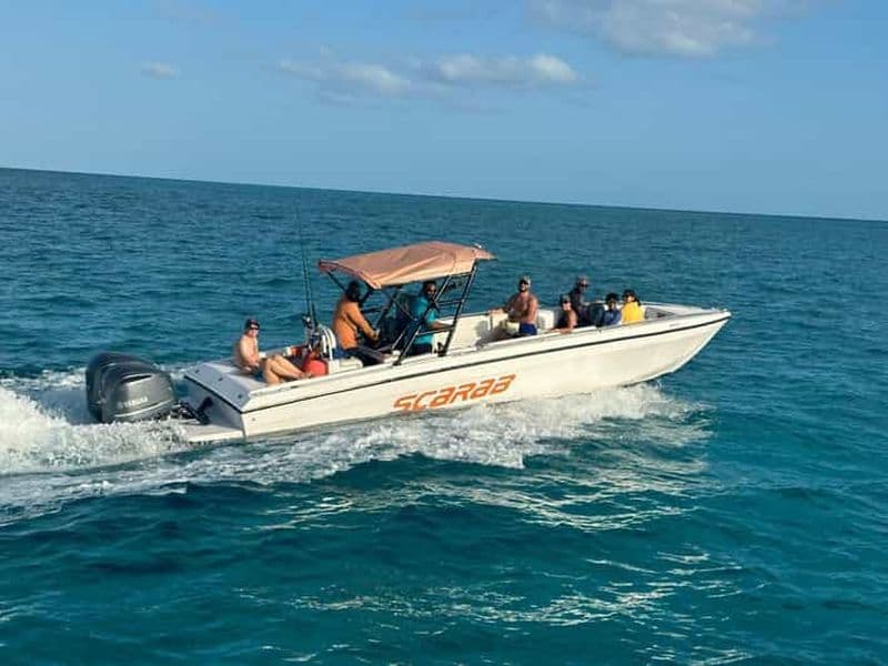 Billet Nassau : Nager avec les cochons - Athol Island