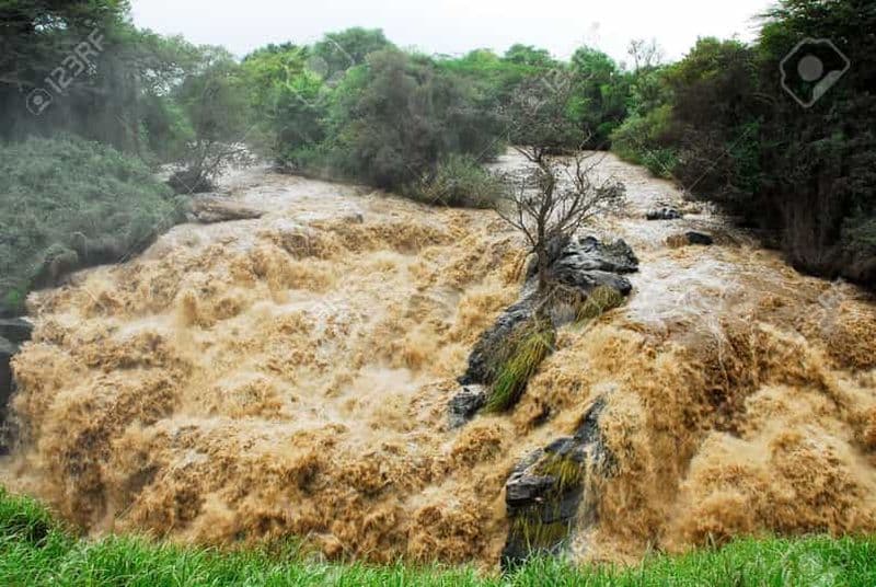 Billet Safari de 2 jours dans le parc national d'Awash