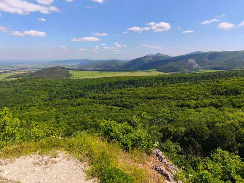 Billet Au départ de Bratislava : excursion guidée d'une journée avec dégustation de vins et visite de châteaux