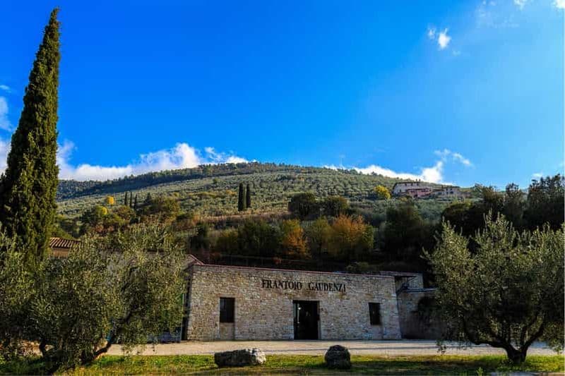 Billet Trevi : Visite guidée et dégustation au Frantoio Gaudenzi