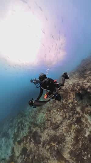 Cours de photographie sous-marine