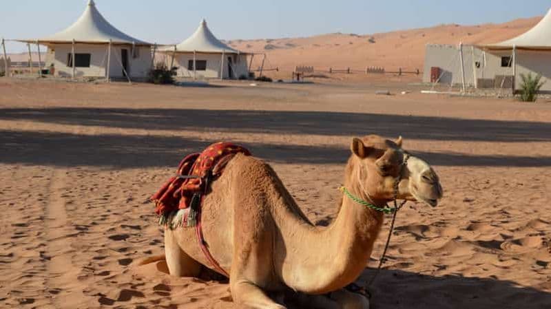 Mascate : excursion privée en 4x4 dans le désert