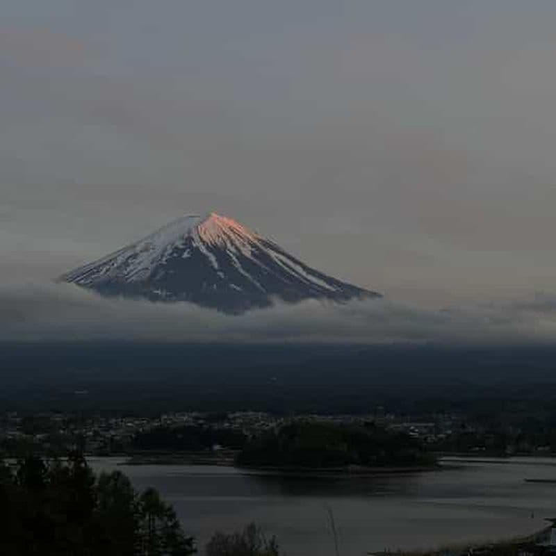 Tokyo : Visite privée de luxe des vins de Yamanashi