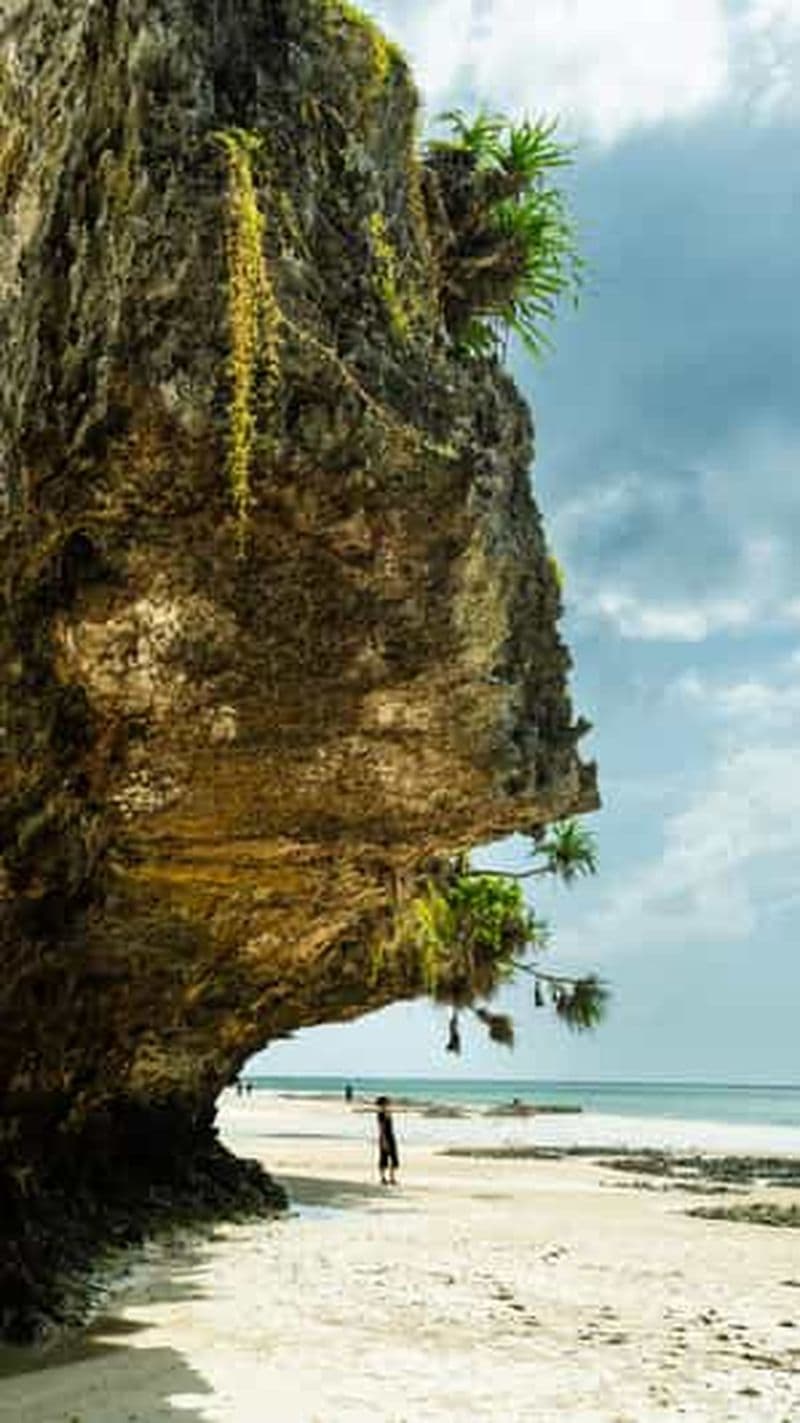 Billet Zanzibar : Secret Beach, Kuza Cave et Jozani avec transfert