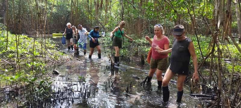 Billet Portobelo : une aventure caribéenne entre nature et histoire