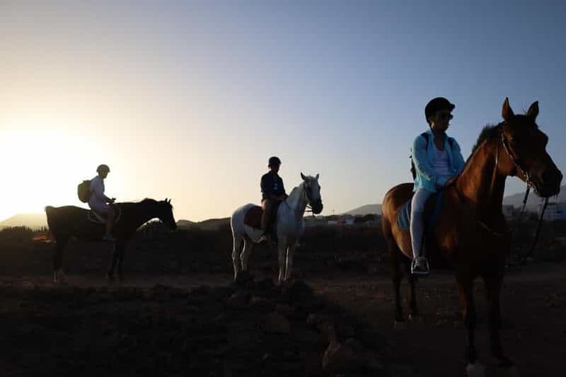 Billet Tenerife : Randonnée à cheval sur la plage au coucher du soleil