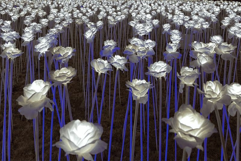 Billet Cebu : visite de la ville de Cebu et de l'île de Mactan