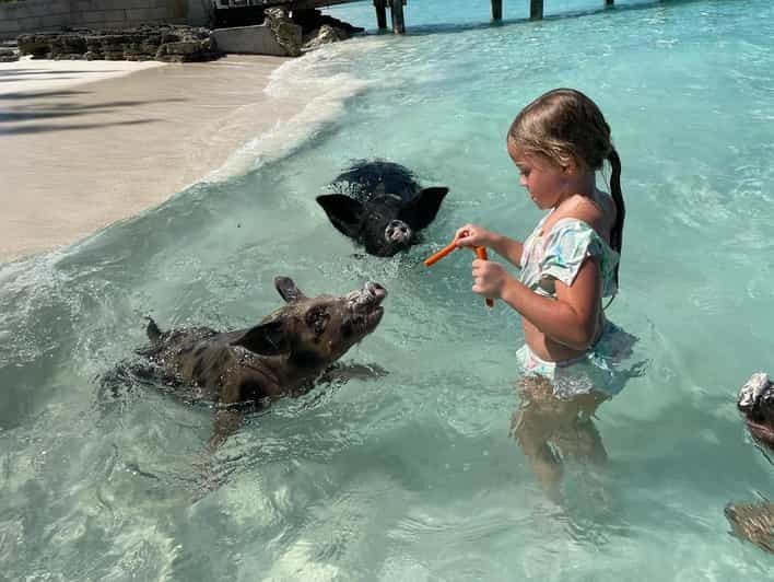 Billet Nassau : Bateau des 3 îles avec cochons nageurs, plongée en apnée et tortues