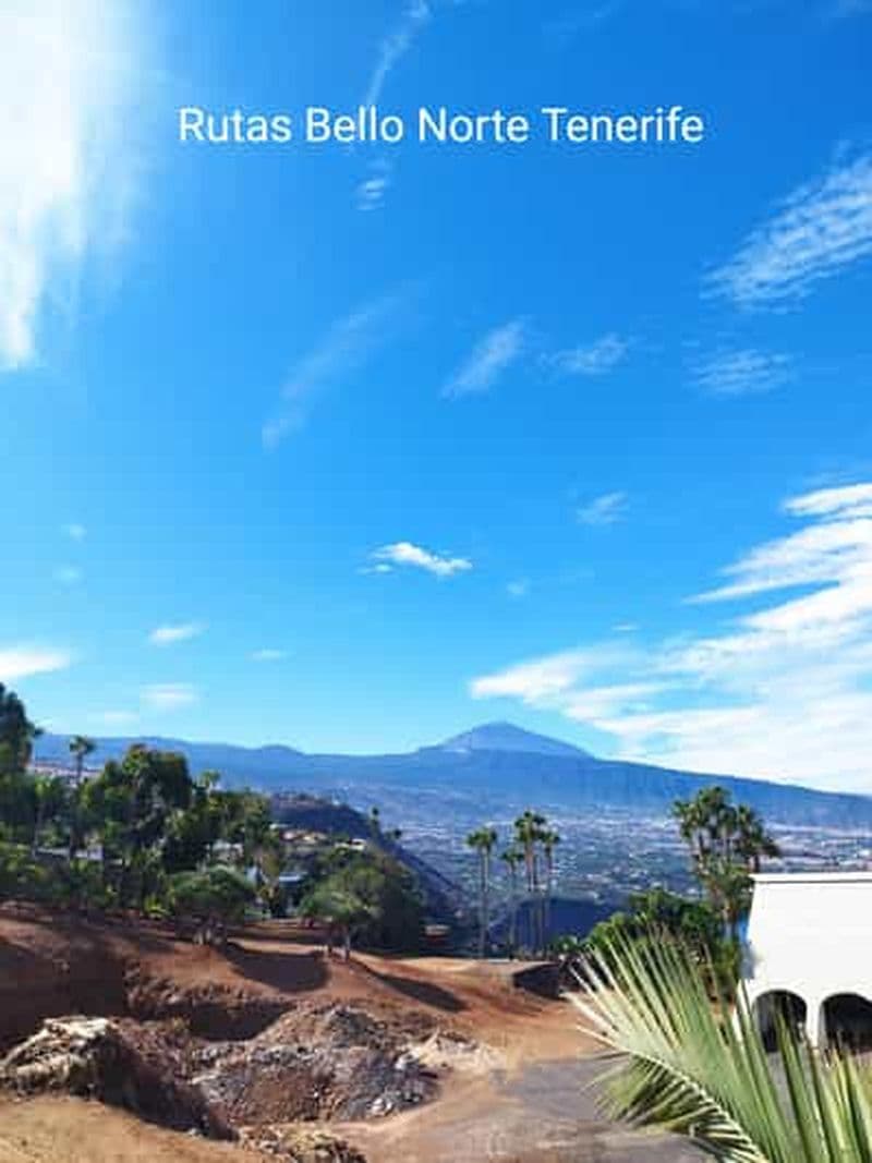 Visite guidée à pied à La Orotava 1h30, Tenerife