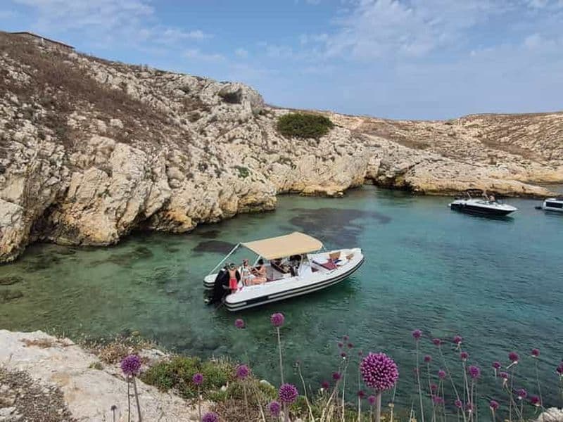 Marseille : Mini croisière en bateau dans les îles du Frioul tout inclus