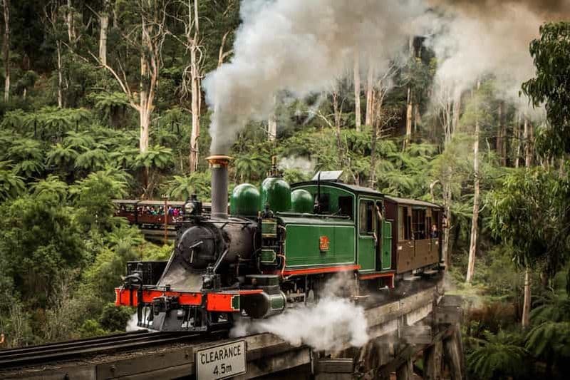 Melbourne : visite privative du zoo et du train Puffing Billy
