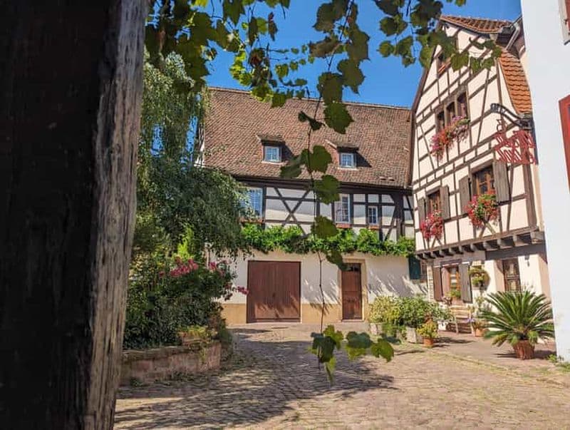 Billet Colmar : visite guidée insolite avec un guide régionaliste