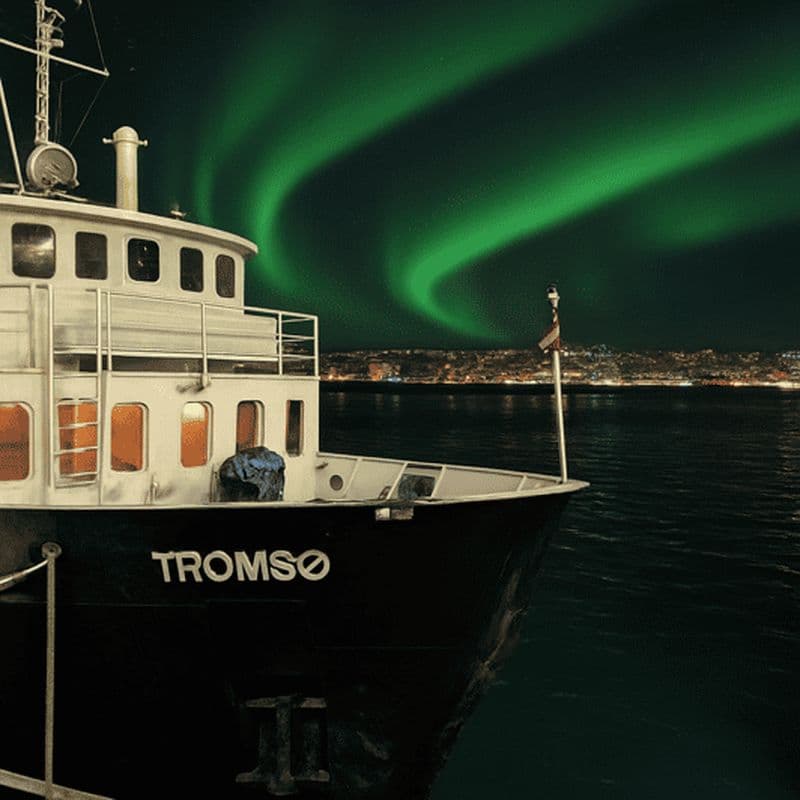 Billet Tromsø : croisière classique dans les fjords avec aurores boréales et repas léger
