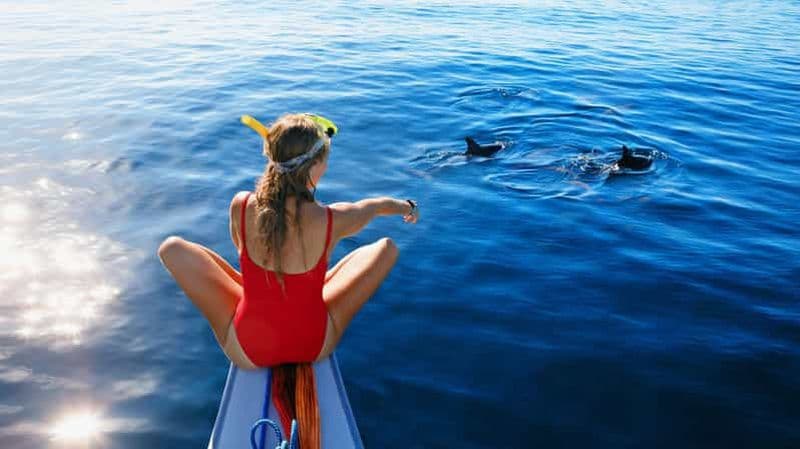 Bali/Lovina : Plongée avec masque et tuba, baignade et chute d'eau pour les dauphins