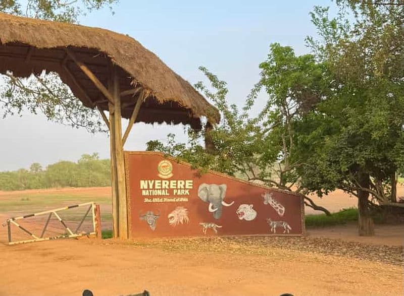 2 jours 1 nuit au parc national Nyerere depuis Zanzibar en avion