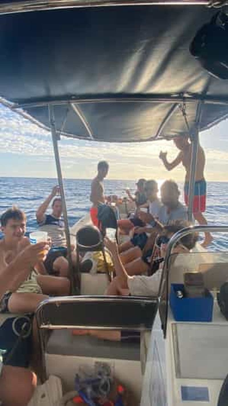 Billet Réunion : Excursion en mer à Étang-Salé (baignade, cétacés et cocktail)