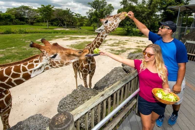 Zoo Miami : billet d'entrée général