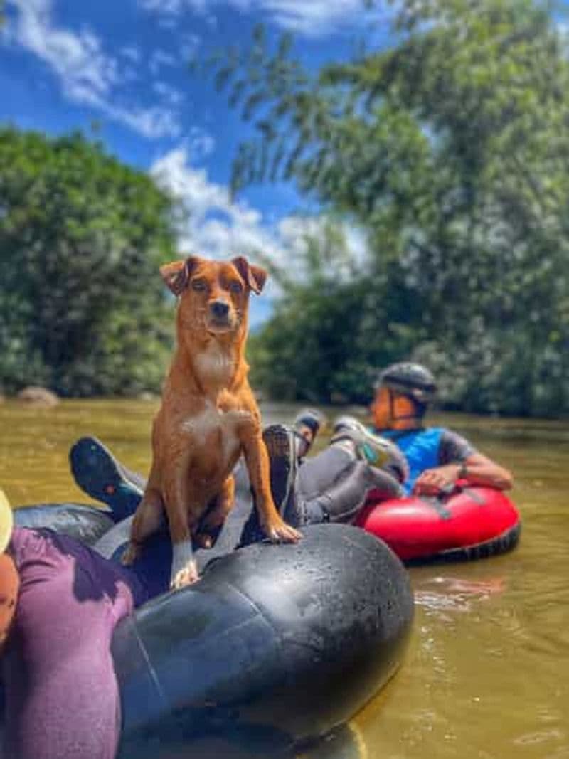 Medellín : Tubing magique sur la rivière Arenal à San Rafael