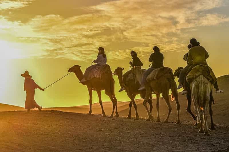 Billet Balade à dos de chameau au coucher du soleil avec un dîner authentique dans une oasis