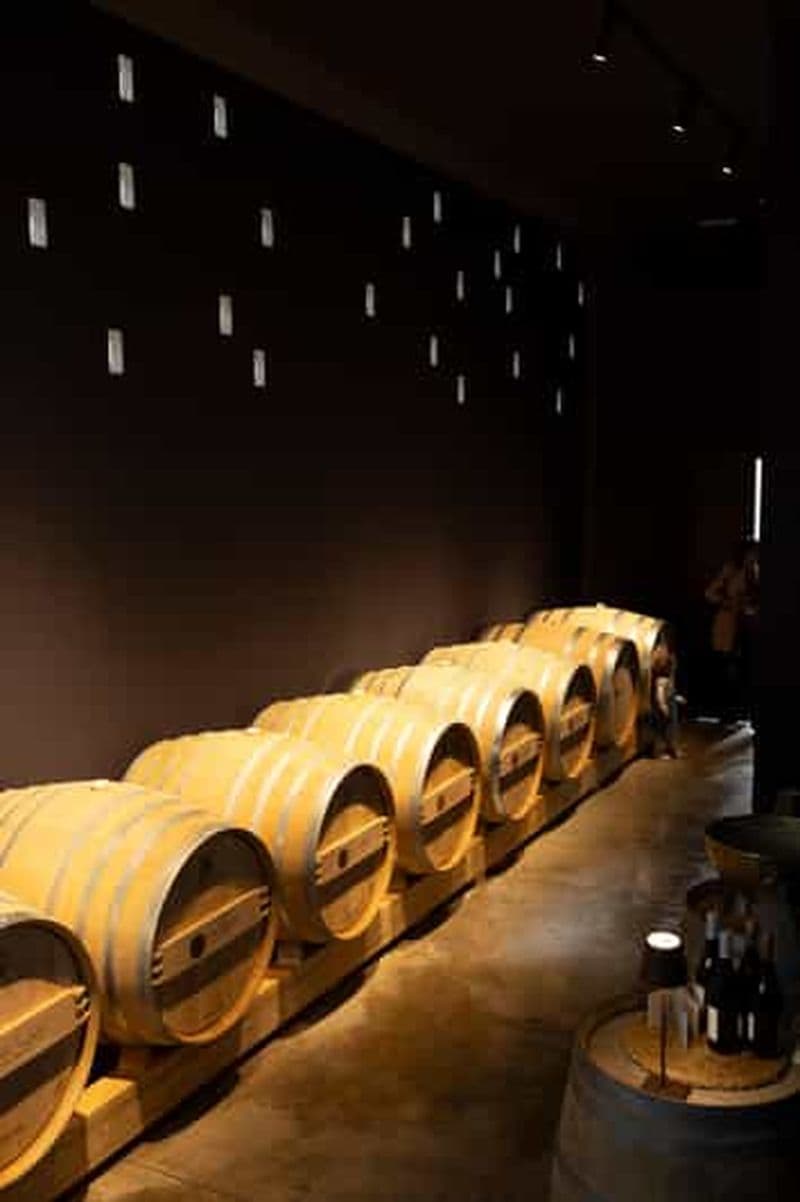 Poggioreale : dégustation de vins bio et visite de la cave