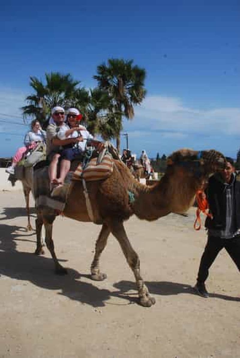 Billet Au départ Sousse ou Monastir : Randonnée de chameau a kantaoui