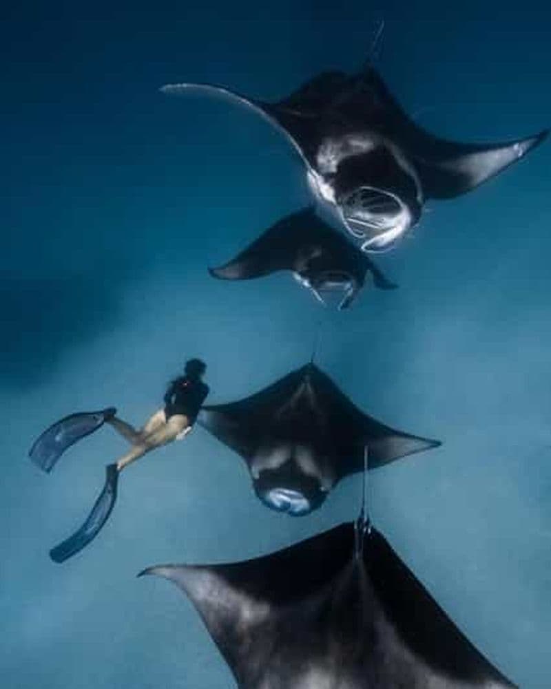 Au départ de Bali : Excursion d'une journée à Nusa Penida et plongée en apnée