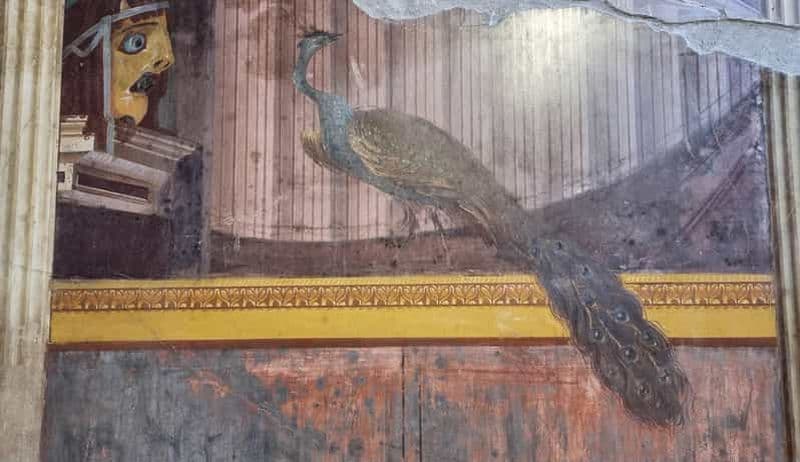 Billet Torre Annunziata : Villa Poppea Guide Audio pour Smartphone