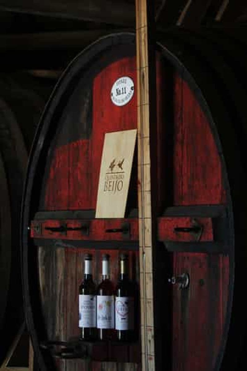 Douro : Dégustation de vin classique avec visite guidée