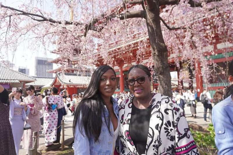 Billet Tokyo, Asakusa, Senso-ji, Skytree : Visite privée avec photos